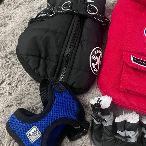 Small Dog Winter Accessory Set - Picture 4 of 6